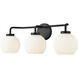 Oprah 3 Light 24 inch Matte Black Vanity Light Wall Light